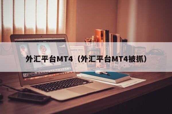 外汇平台MT4（外汇平台MT4被抓）