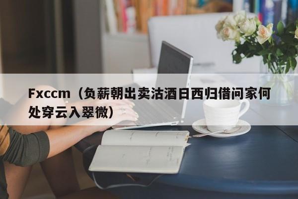 Fxccm（负薪朝出卖沽酒日西归借问家何处穿云入翠微）