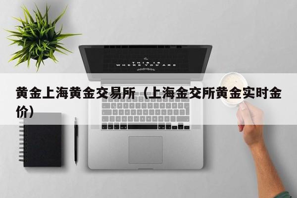 黄金上海黄金交易所（上海金交所黄金实时金价）