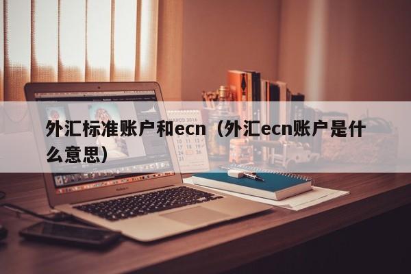 外汇标准账户和ecn（外汇ecn账户是什么意思）