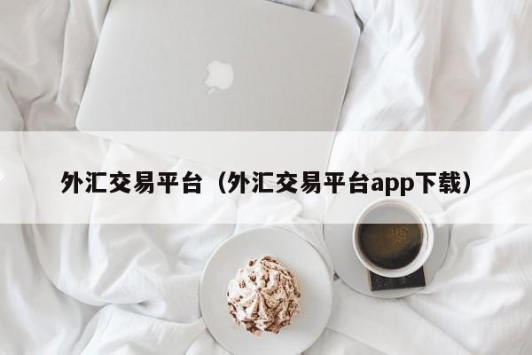 外汇交易平台（外汇交易平台app下载）