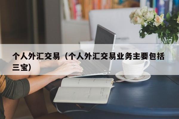 个人外汇交易（个人外汇交易业务主要包括 三宝）
