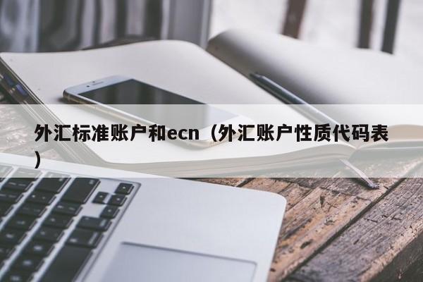 外汇标准账户和ecn（外汇账户性质代码表）