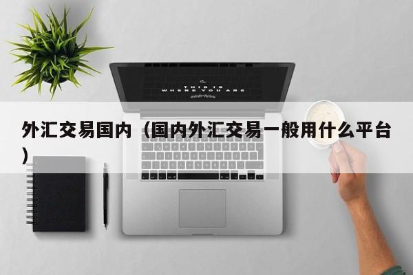 外汇交易国内（国内外汇交易一般用什么平台）