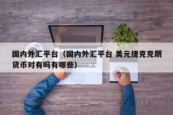 国内外汇平台（国内外汇平台 美元捷克克朗货币对有吗有哪些）