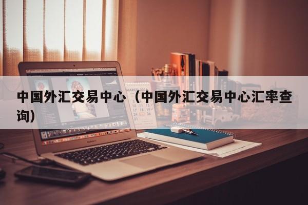 中国外汇交易中心（中国外汇交易中心汇率查询）