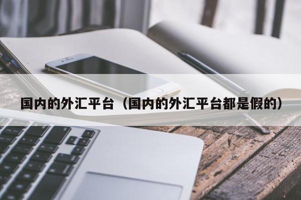 国内的外汇平台（国内的外汇平台都是假的）