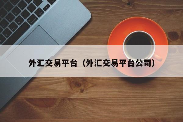 外汇交易平台（外汇交易平台公司）