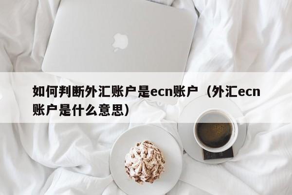 如何判断外汇账户是ecn账户（外汇ecn账户是什么意思）
