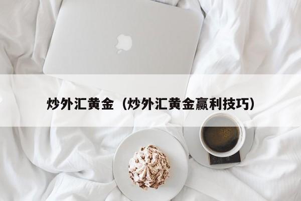 炒外汇黄金（炒外汇黄金赢利技巧）