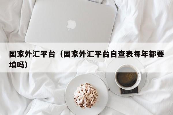 国家外汇平台（国家外汇平台自查表每年都要填吗）