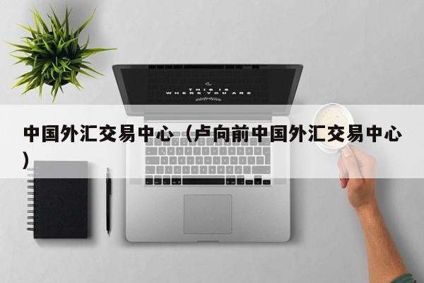 中国外汇交易中心（卢向前中国外汇交易中心）