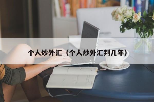 个人炒外汇（个人炒外汇判几年）