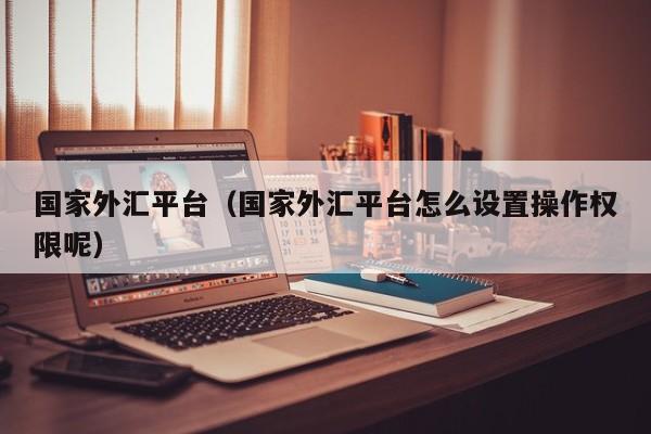 国家外汇平台（国家外汇平台怎么设置操作权限呢）