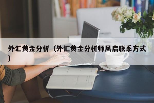 外汇黄金分析（外汇黄金分析师风启联系方式）