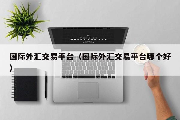 国际外汇交易平台（国际外汇交易平台哪个好）