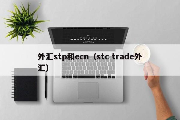 外汇stp和ecn（stc trade外汇）