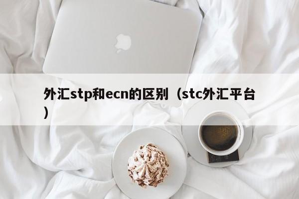 外汇stp和ecn的区别（stc外汇平台）