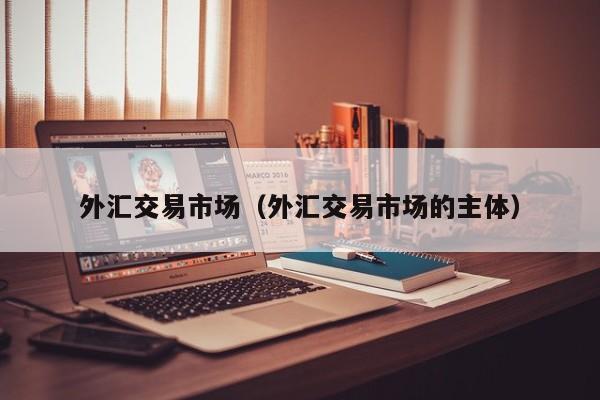 外汇交易市场（外汇交易市场的主体）