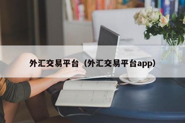 外汇交易平台（外汇交易平台app）