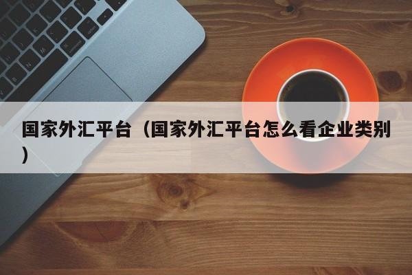 国家外汇平台（国家外汇平台怎么看企业类别）