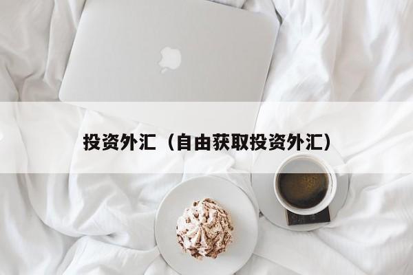 投资外汇（自由获取投资外汇）