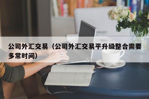 公司外汇交易（公司外汇交易平升级整合需要多常时间）