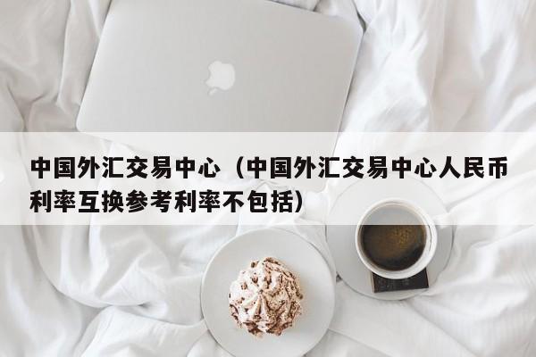 中国外汇交易中心（中国外汇交易中心人民币利率互换参考利率不包括）