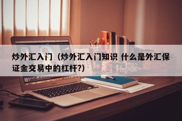 炒外汇入门（炒外汇入门知识 什么是外汇保证金交易中的杠杆?）