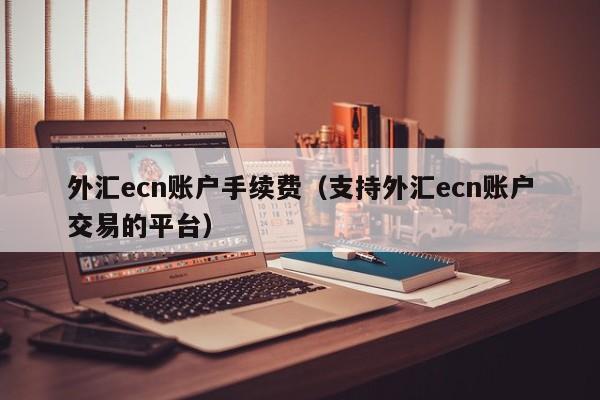 外汇ecn账户手续费（支持外汇ecn账户交易的平台）