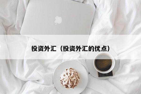 投资外汇（投资外汇的优点）