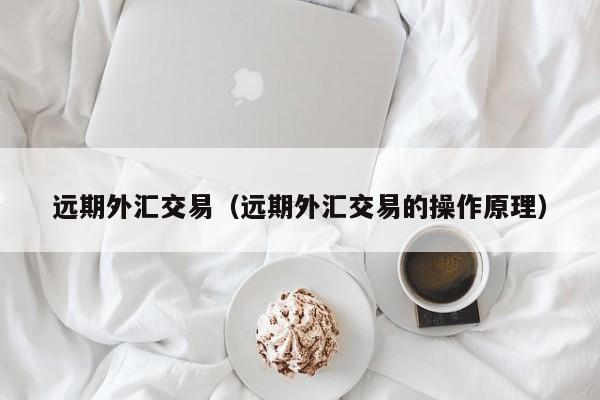 远期外汇交易（远期外汇交易的操作原理）