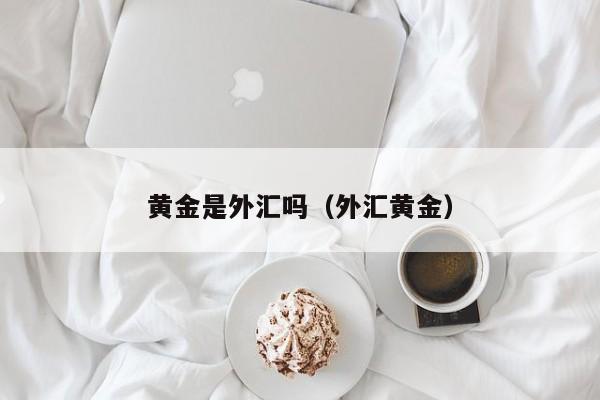 黄金是外汇吗（外汇黄金）