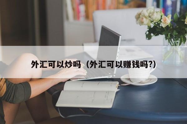 外汇可以炒吗（外汇可以赚钱吗?）
