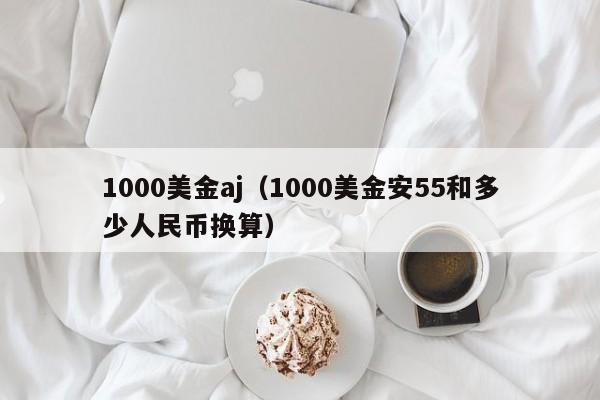 1000美金aj（1000美金安55和多少人民币换算）