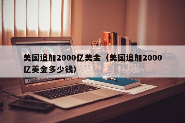 美国追加2000亿美金（美国追加2000亿美金多少钱）