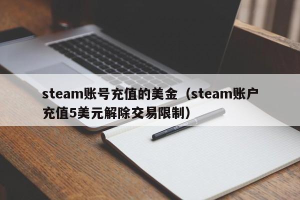 steam账号充值的美金（steam账户充值5美元解除交易限制）