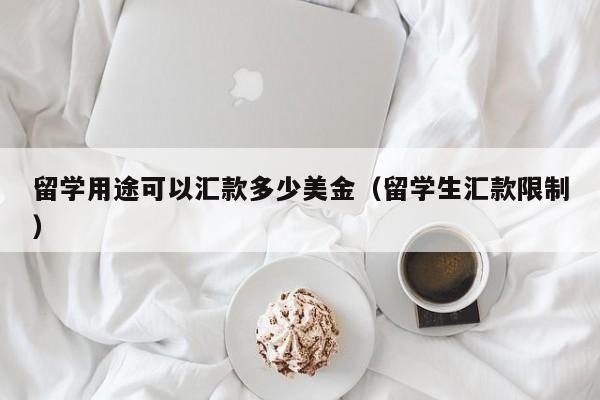 留学用途可以汇款多少美金（留学生汇款限制）