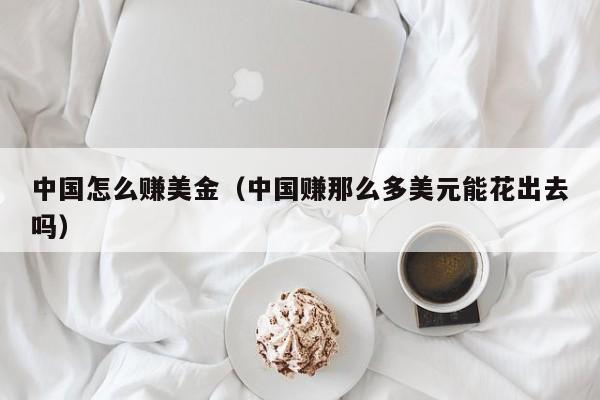 中国怎么赚美金（中国赚那么多美元能花出去吗）