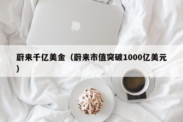 蔚来千亿美金（蔚来市值突破1000亿美元）
