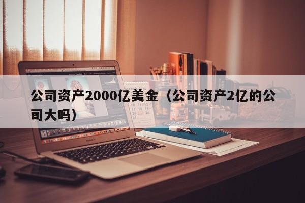 公司资产2000亿美金（公司资产2亿的公司大吗）