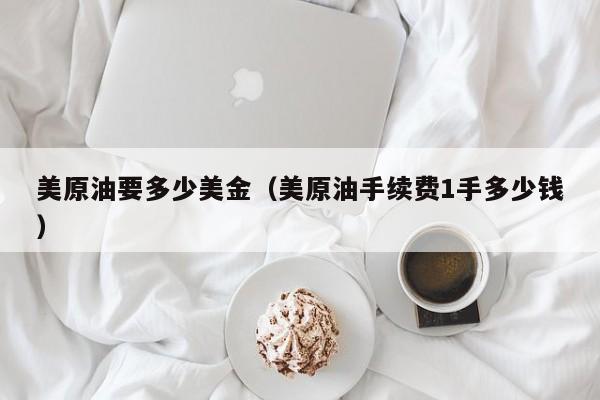 美原油要多少美金（美原油手续费1手多少钱）