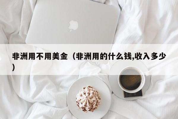 非洲用不用美金（非洲用的什么钱,收入多少）