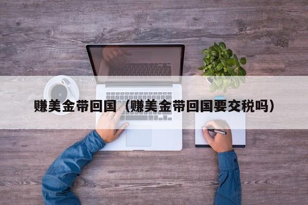 赚美金带回国（赚美金带回国要交税吗）