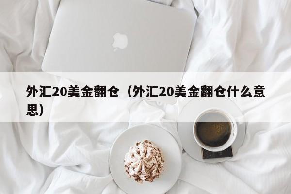 外汇20美金翻仓（外汇20美金翻仓什么意思）