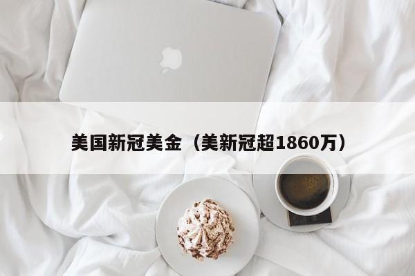 美国新冠美金（美新冠超1860万）