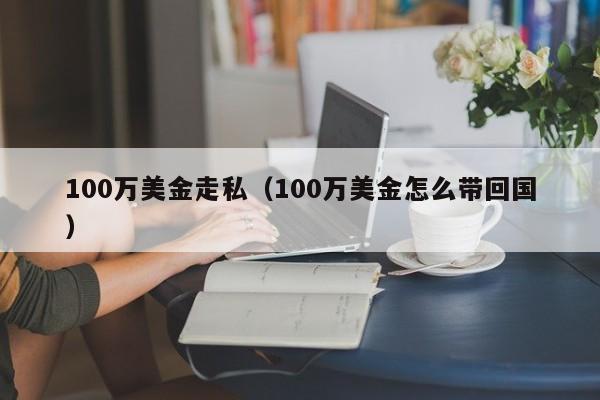 100万美金走私（100万美金怎么带回国）