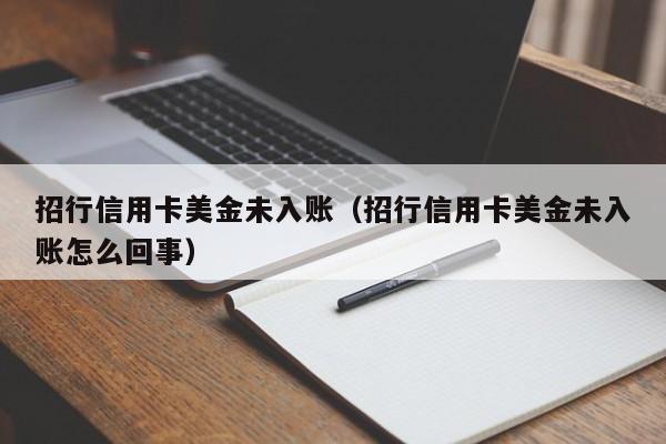 招行信用卡美金未入账（招行信用卡美金未入账怎么回事）