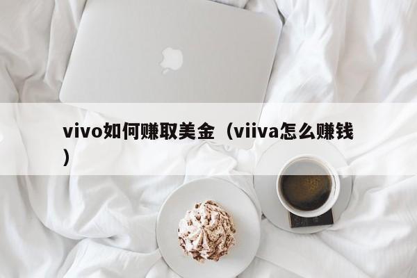 vivo如何赚取美金（viiva怎么赚钱）