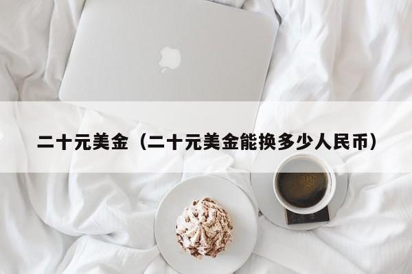 二十元美金（二十元美金能换多少人民币）